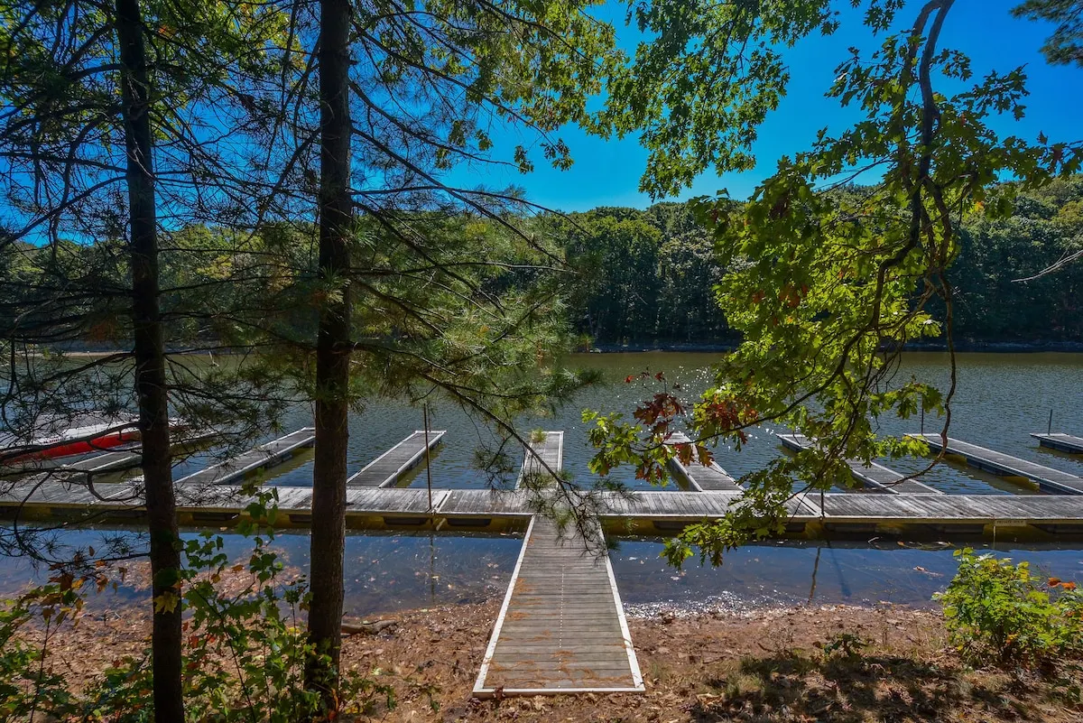Wooded grounds surrounding Woodland Chalet near Deep Creek Lake